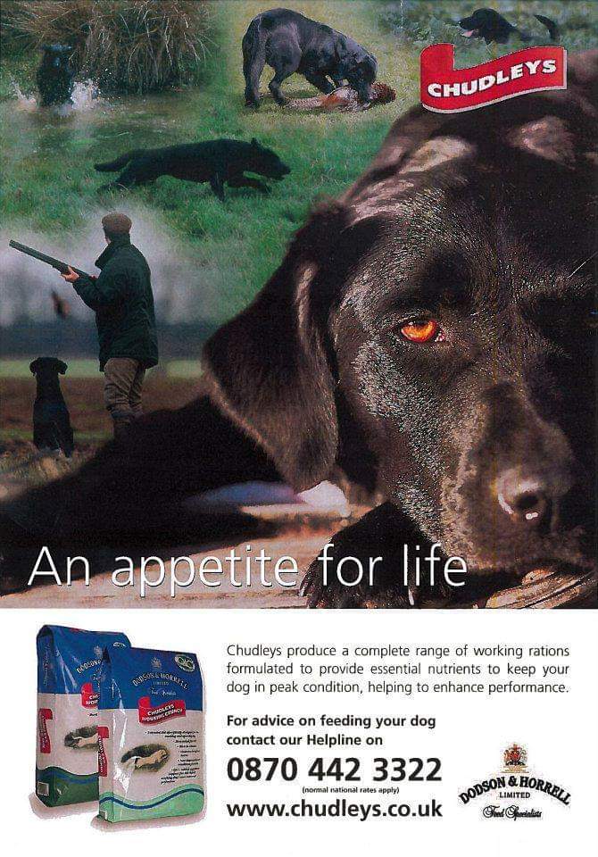 chudleys classic dog food