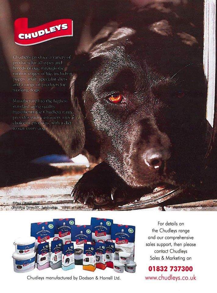 ChudleysDog's tweet photo. Here's a look back three classic #Chudleys adverts. #ThrowbackThursday #ChooseChudleys #BlastfromthePast https://t.co/V3EsQEUq0g