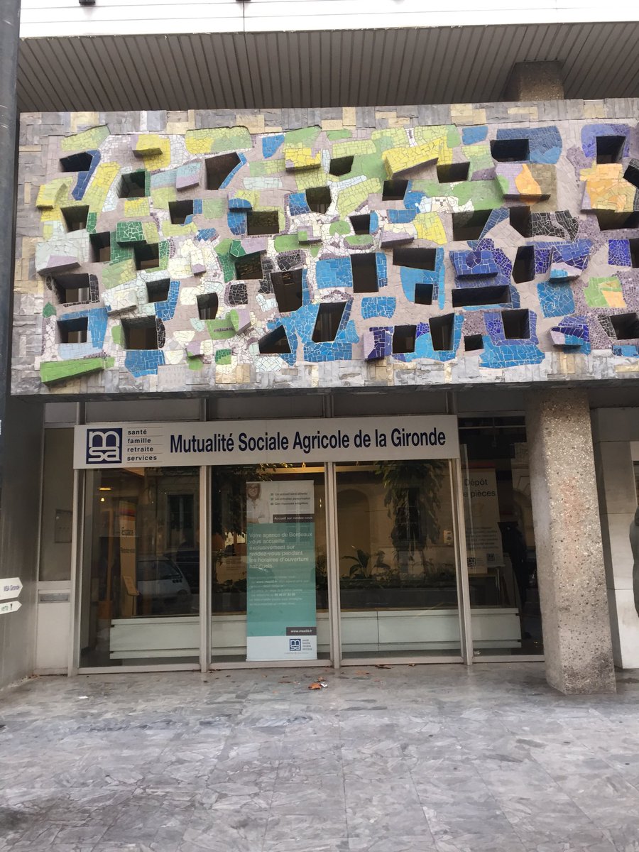 Formation Réseaux Sociaux avec MSA services formation Gironde #msaservicesgironde #asept #aseptperigordagenais #presenceverte331617