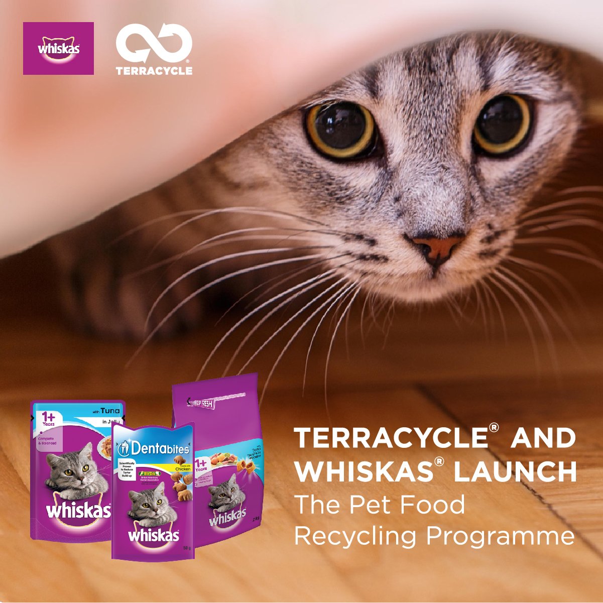 Whiskas UK on Twitter "We are excited to announce that we have