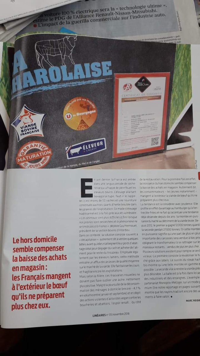 BPrisse's tweet photo. On parle de nous!!!
#lineaire. #CommercantAutrement https://t.co/83FgsbkpRy
