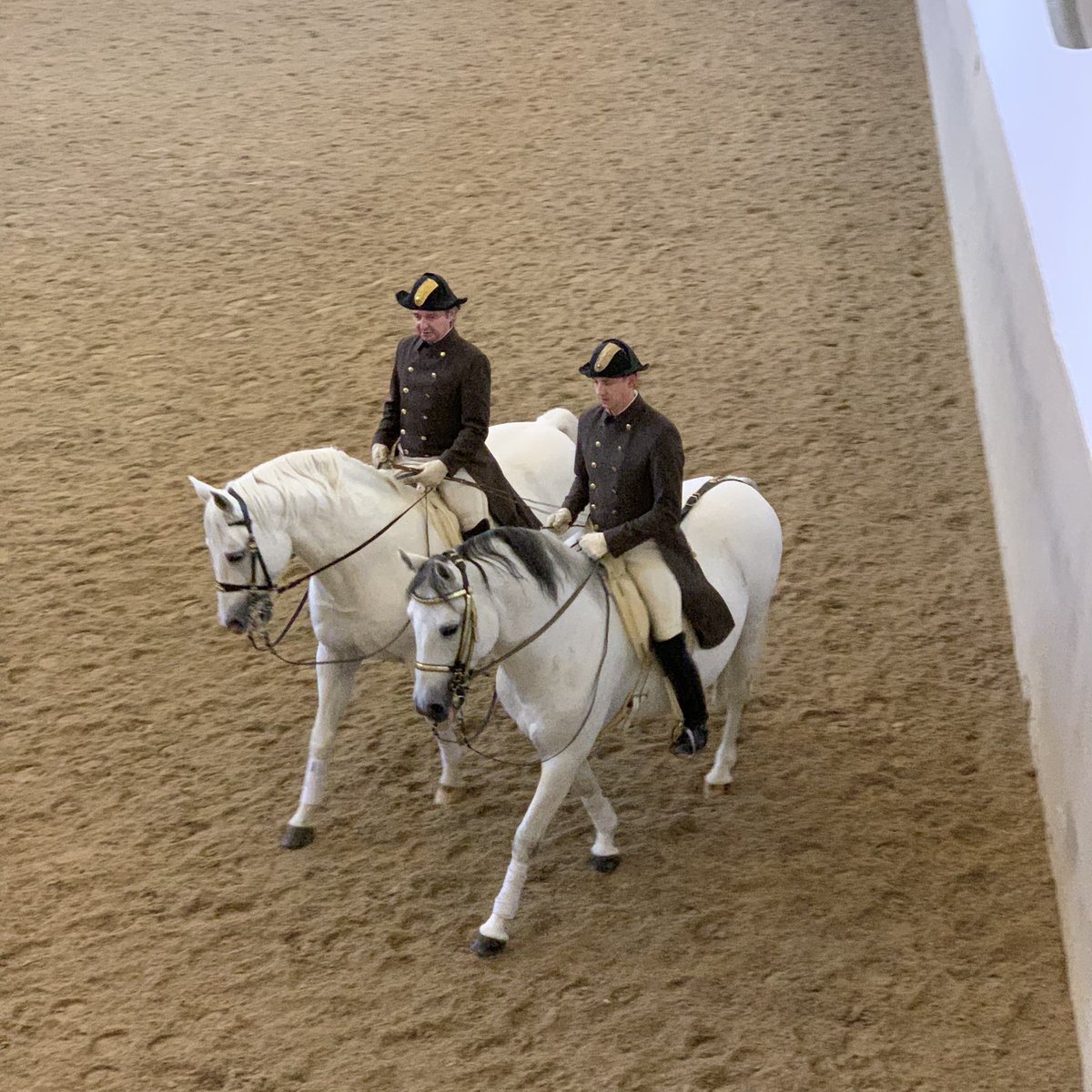 antonyslumbers's tweet image. Come for the tech, stay for the horses #FuturePropTech @_futureproperty #Vienna