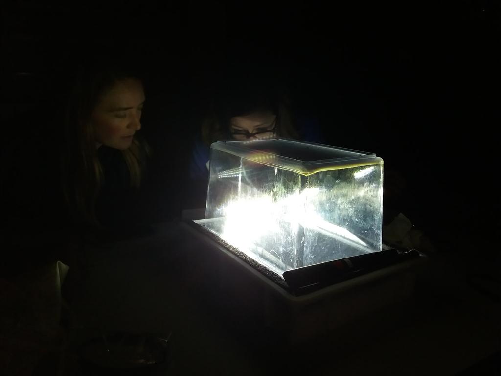 annemland's tweet image. Getting our nerd on! We built our own cloud chamber #scoollab @cern. So awesome!