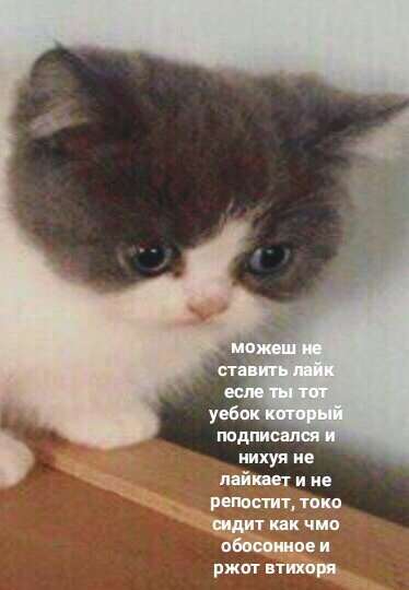DtKoh8FXcAASQe_.jpg