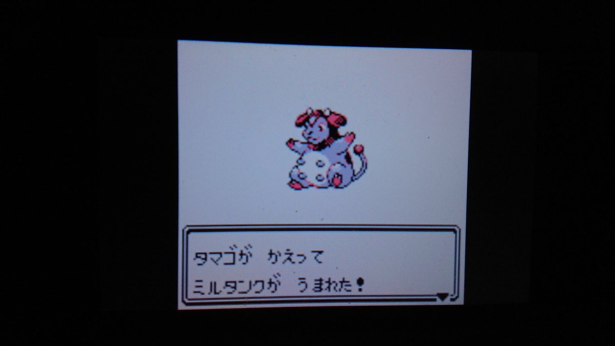 Moriya 金銀トラウマのミルタンクの色違いが38個目のタマゴから産まれました 帰宅後最初のタマゴから色違い出て嬉しい T Co Ig8q5wneq6 Twitter