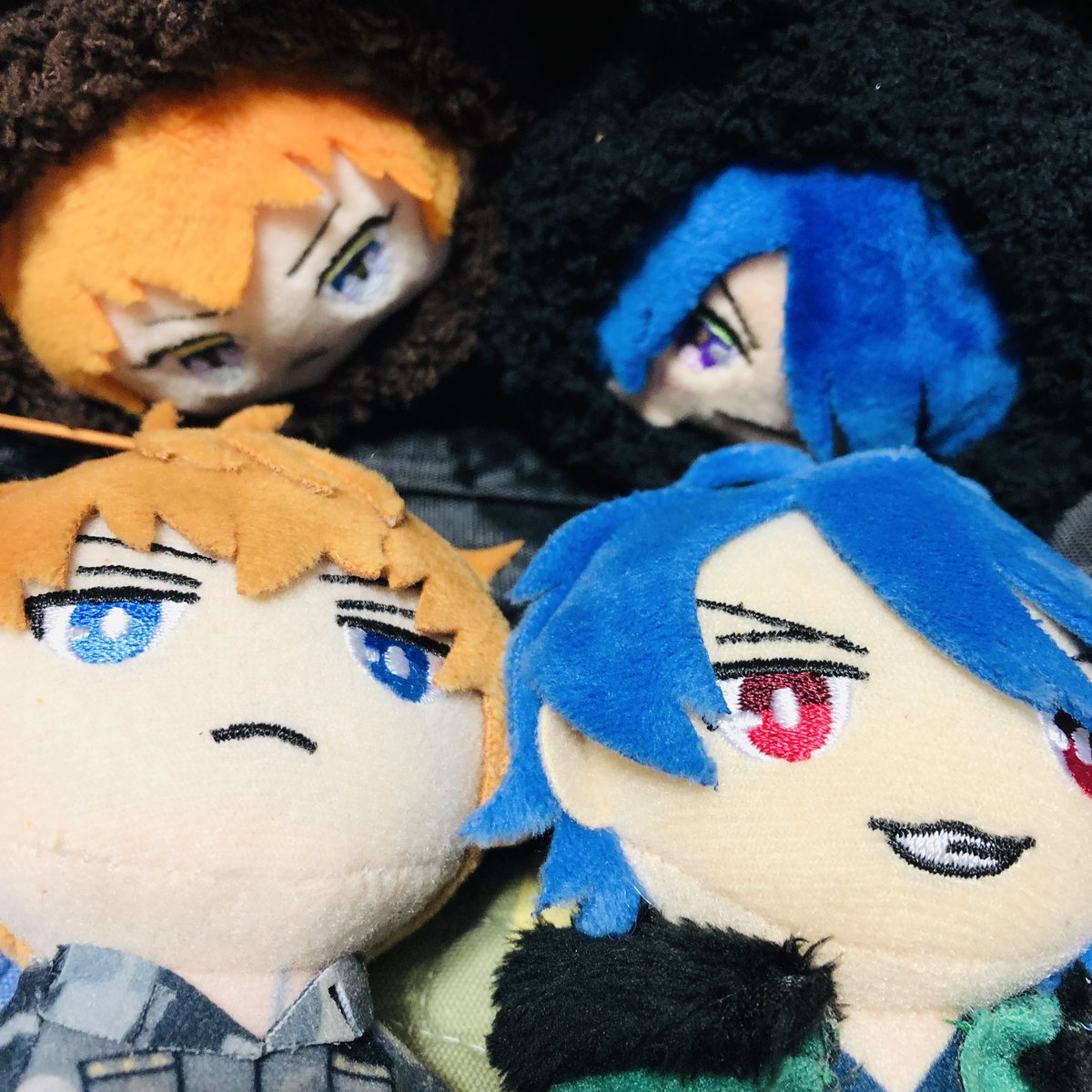I_ce__01's tweet photo. 先日だいすもお迎えしてきた、、、🥳🥳 https://t.co/p3P32uFRBi