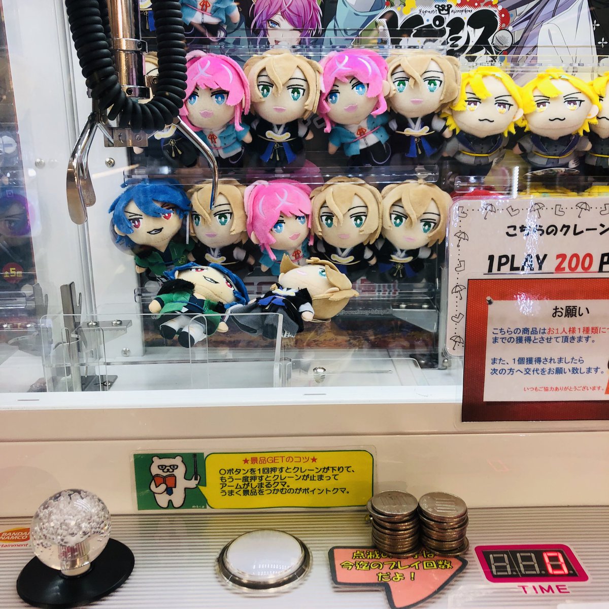 I_ce__01's tweet photo. 先日だいすもお迎えしてきた、、、🥳🥳 https://t.co/p3P32uFRBi