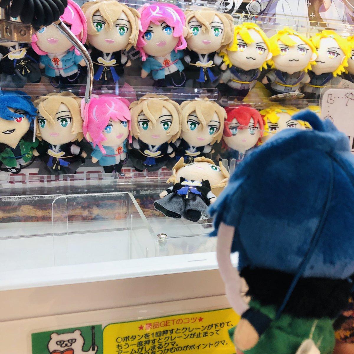 I_ce__01's tweet photo. 先日だいすもお迎えしてきた、、、🥳🥳 https://t.co/p3P32uFRBi