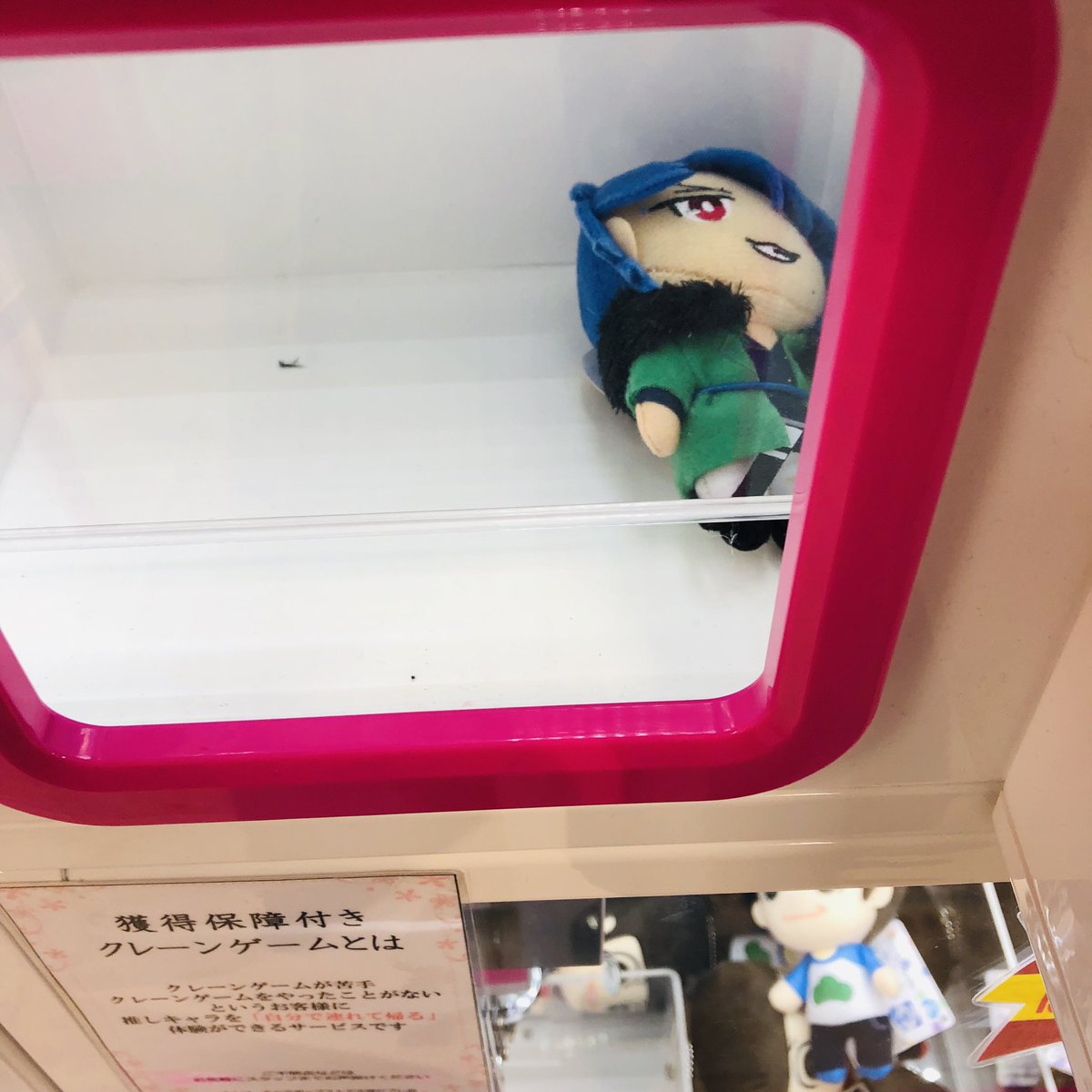 I_ce__01's tweet photo. 先日だいすもお迎えしてきた、、、🥳🥳 https://t.co/p3P32uFRBi