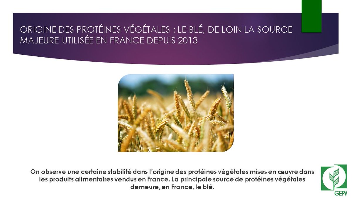 ORIGINE DES PROTÉINES VÉGÉTALES : LE BLÉ, DE LOIN LA SOURCE MAJEURE UTILISÉE EN FRANCE DEPUIS 2013
Pour découvrir l'intégralité de cet article, suivez-nous sur #LinkedIn : ow.ly/WQhD30kxGqD        
#protéinesvégétales #blé #France #origine