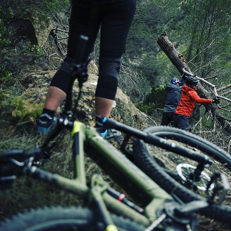 bicycle Line tweet media