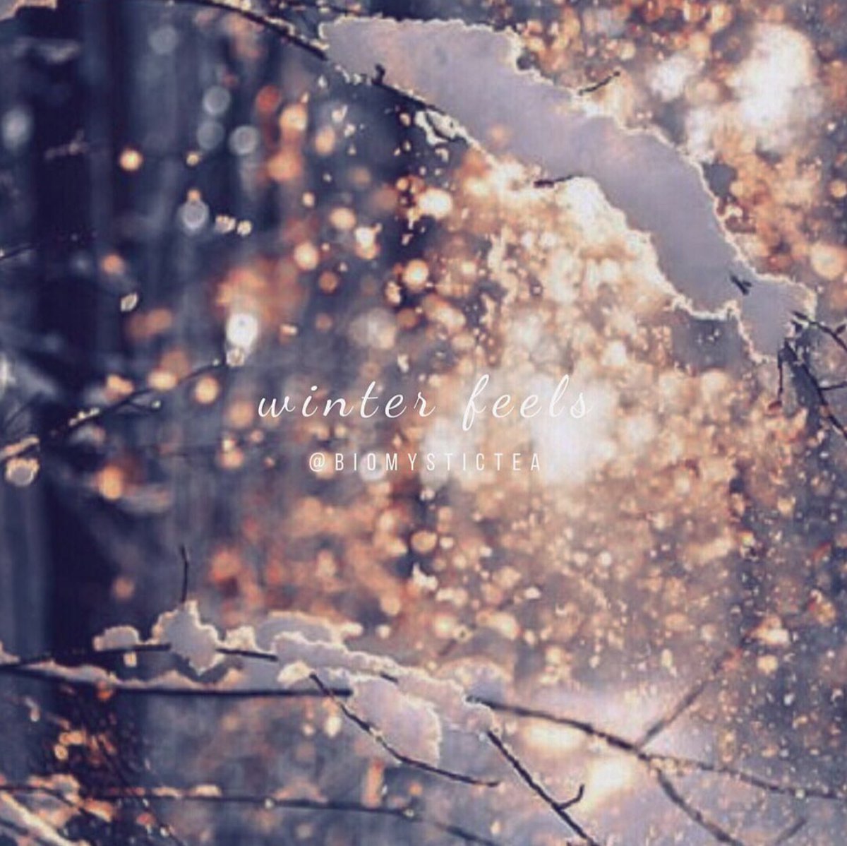 Biomystictea's tweet photo. That feeling when the air becomes icily fresh and you can see your breath dance out in front of you. We like to keep warm on winter mornings with a big cup of our Detox Tea to jump start our immune system and clear our minds 🕸 #Winter #Mood #Tea https://t.co/ZhhDHESGoW https://t.co/DjlC3n9HJK