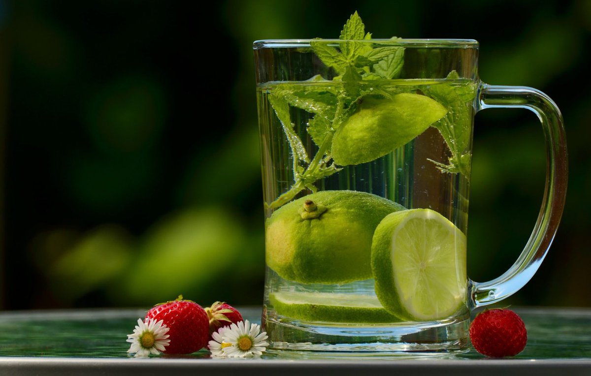 GeetaAPatel's tweet image. Morning Detox Rituals For A Healthy Life #applecidervinegar #applecidervinegarforweightloss #benefitsofdrinkinggreentea #benefitsofgreentea #benefitsoftea #greentea #greenteabenefits #greenteabenefitsweightloss #healthbenefitsofgreentea #healthbenefitsoft japanese-green-tea-india.in/advantages-of-…