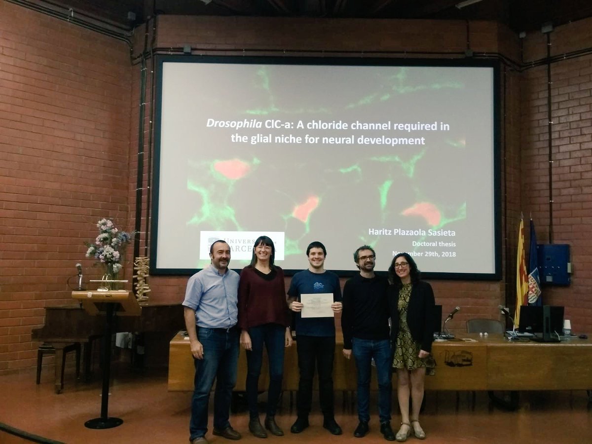 GeneticsUB's tweet photo. Congratulations to Haritz Plazaola from Marta Morey’s lab @GeneticsUB @BiologiaUB for his excellent doctoral thesis defense! And thanks to the jury @sofiajaraujo @Checho_casas and Javier Morante https://t.co/nDYRAw6iB7