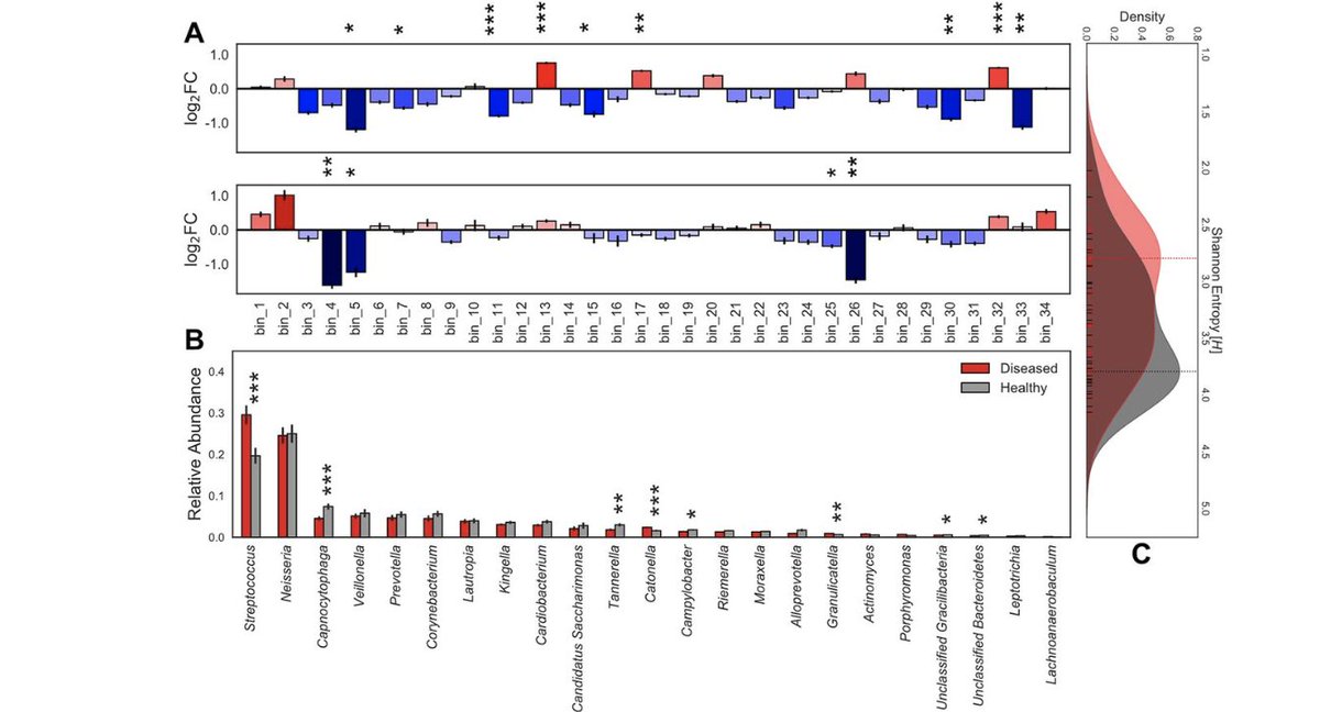 mbiojournal's tweet photo. Supragingival plaque microbiome ecology and functional potential in the context of health + disease https://t.co/lNt25TE7qL https://t.co/ZVCEUAksg9