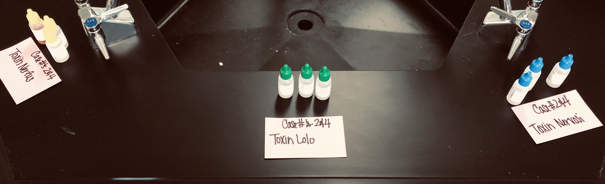 DeBold_Science's tweet image. Medical Detectives are ready to solve the case! Who is responsible Montgomery Hills Epidemic? #PLTW #PatriotPower #SolvingRealProblems #MSDR9 @BernardMiddle @MrsLCumming @MEHLVILLE1 @PLTW_MO @STLPLTW