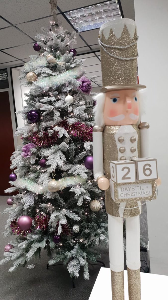 Counting down the days ☃️❄️⛄️#RDtaxcredits #fiscalerdtax #christmas #Nutcracker⁠ ⁠#Countdown