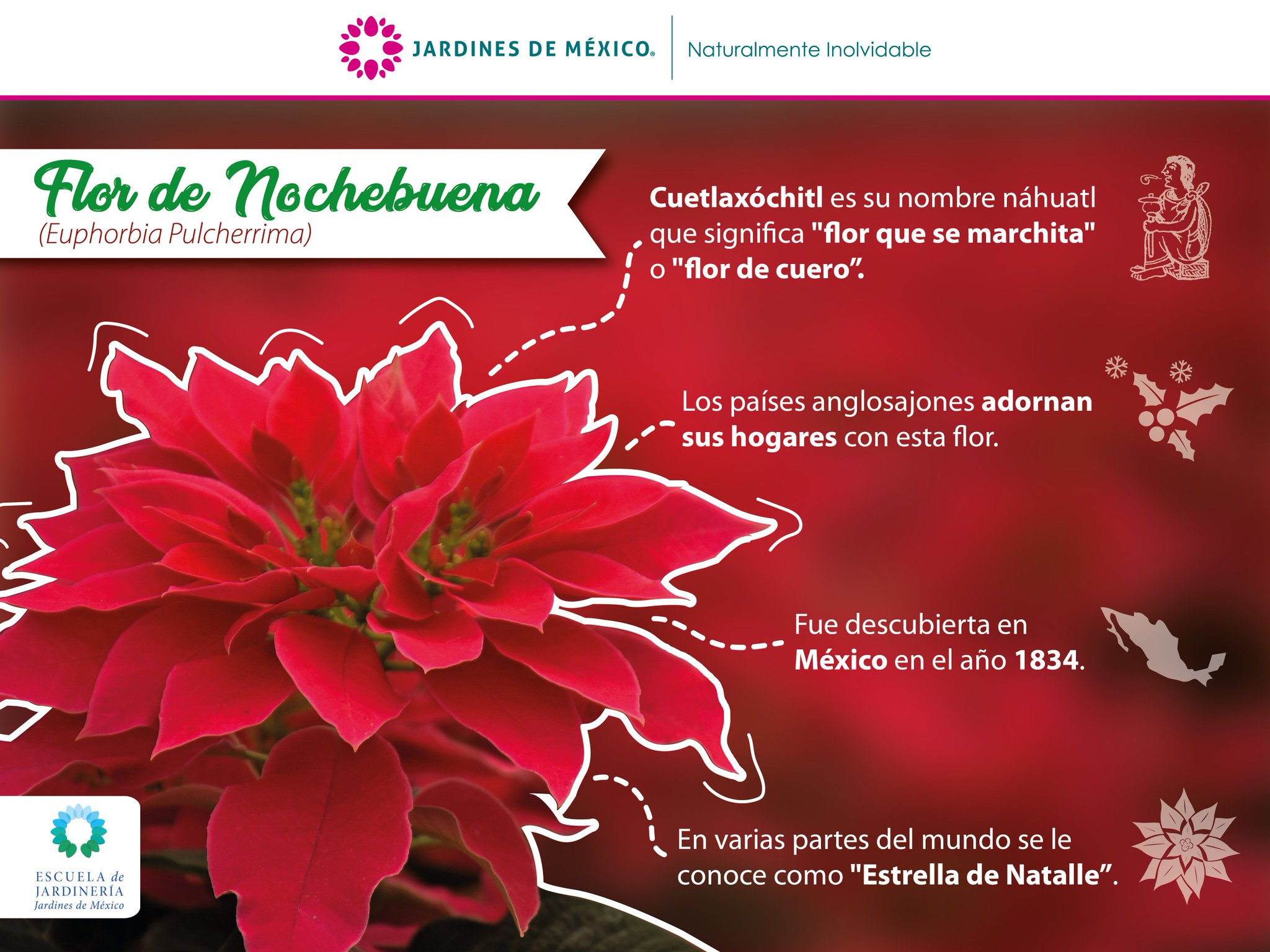 Jardines de México on Twitter: Jardines de México on Twitter: