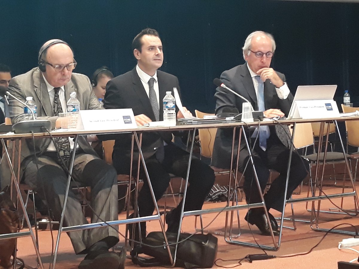 Philippe Krantz from the #Justice and #Legal #Cooperation Department of the <a href="/coe/">Council of Europe</a> addresses the #CCBE Plenary on the issue of a #European #Convention on the #Profession of #Lawyer, among other subjects.