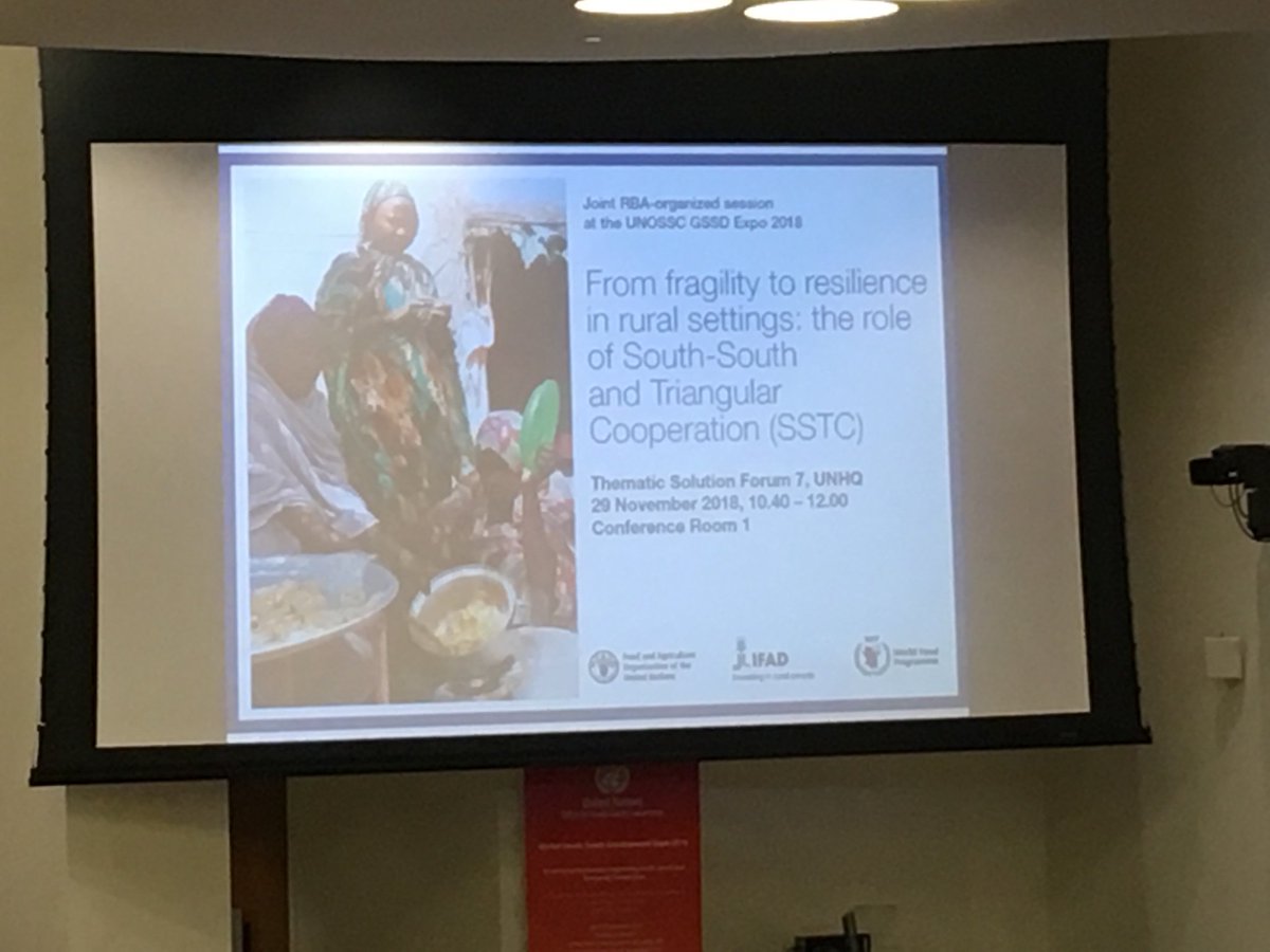 KaaweNancy's tweet photo. RBAs session- in fragile contexts we have a triple nexus: humanitarian, development and peace. We need to break down these silos. #GSSD2018 #IFAD #WFP #FAO #southsouthcooperation https://t.co/3ghgS2nNho