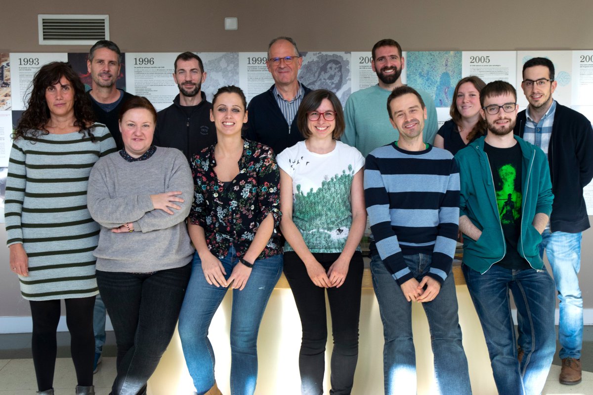 Congrats to <a href="/SolanoRsolano/">Roberto Solano</a> for being (again) one of the #HighlyCitedResearchers Perfect occasion for showing our brand-new lab picture! <a href="/CNB_CSIC/">Centro Nacional de Biotecnología (CSIC)</a>