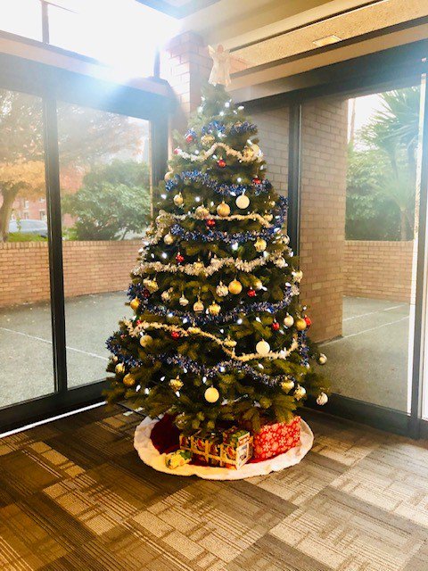Trees are up, Christmas is coming! Thank you Sarah Melizza our Director of Sales for decorating! #Christmas #ChristmasIsComing