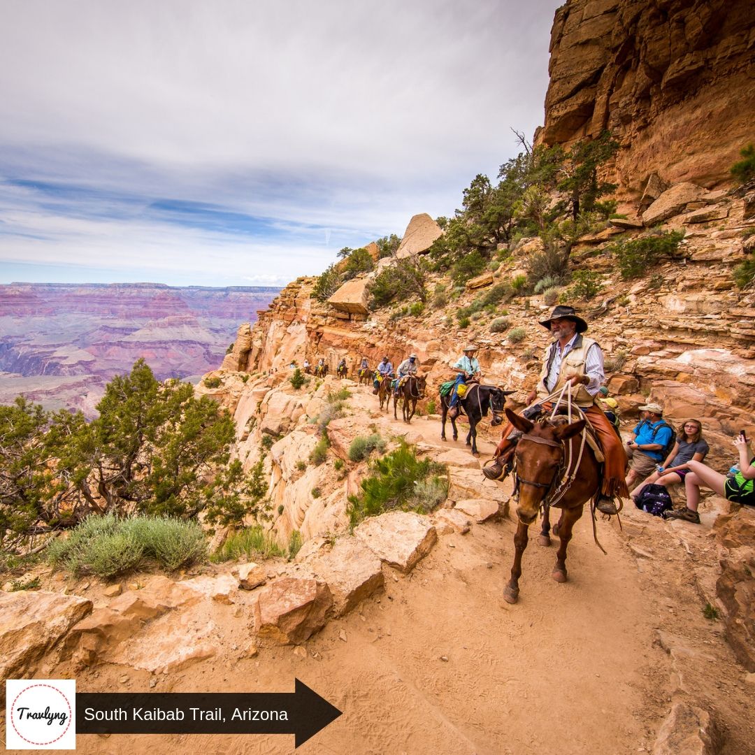 Tourists riding mules at the Grand Canyon National Park, South Rim.  #trailthursday #travelthursday #trail #thrillthursday #thursday #travel #travlyng #trailrunning #longtrail #traveller #adventure #fun #thrill #instaadventure #instatrail
