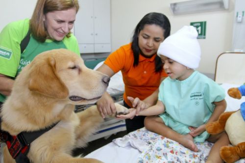 Entra em vigor lei que permite visita de pets em hospitais da Capital: bit.ly/2P6Qk4k