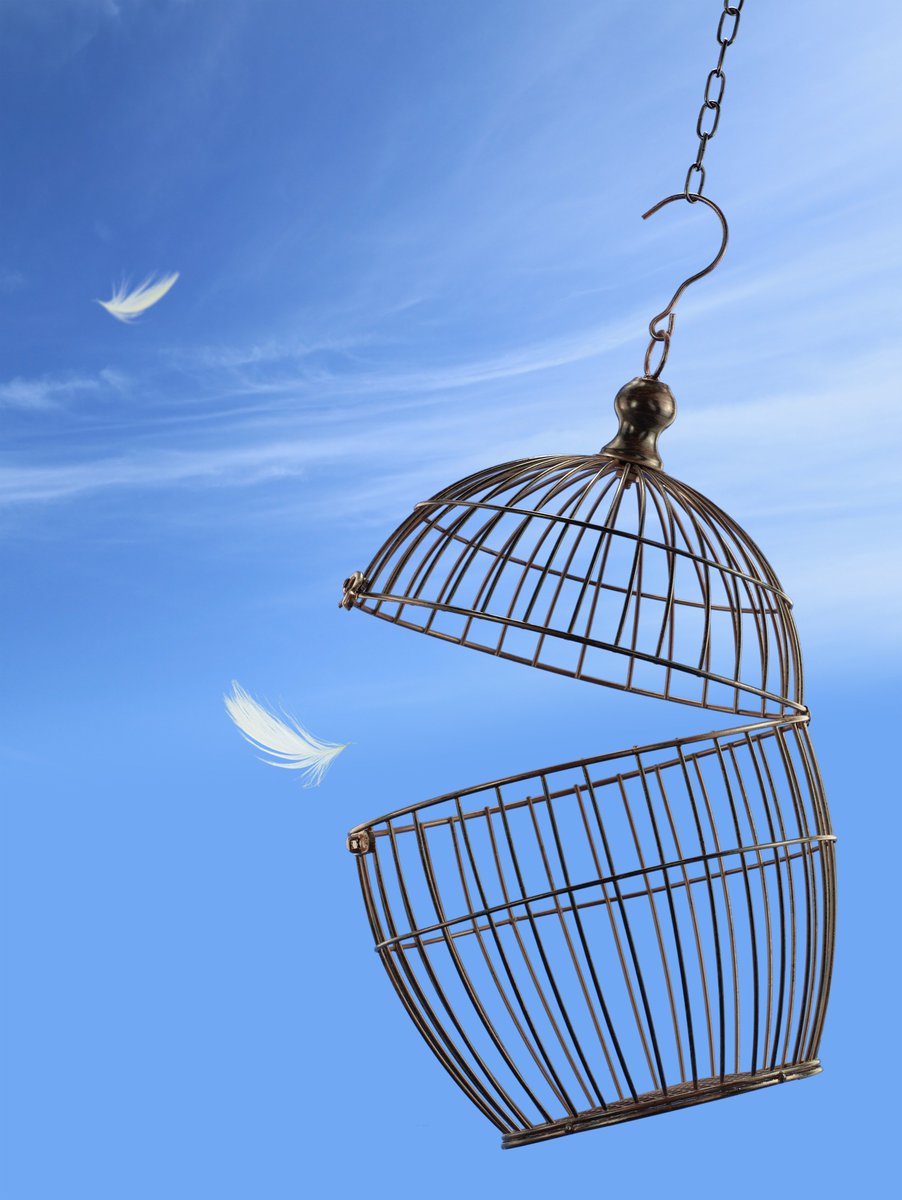 Libros_Apyce's tweet photo. "La libertad, Sancho, es uno de los más preciosos dones que a los hombres dieron los cielos; con ella no pueden igualarse los tesoros que encierra la tierra ni el mar encubre". Miguel de Cervantes (Don Quijote de la Mancha).
#FelizJueves #librosapyce https://t.co/0Oe8f473Je