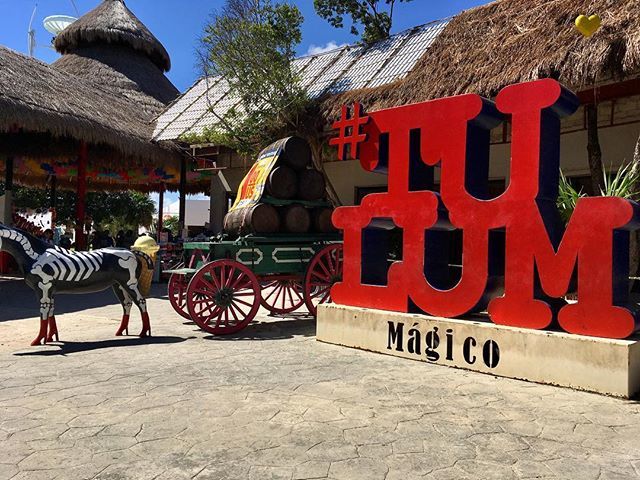 mi_travesia's tweet photo. Había leído que #Tulum en #Mexico era muy costoso y rústico. La segunda sí y la primera no tanto lo que sí es #magico.
Las ruinas que estan cerca a la playa le da un gran toque. La playa es super amplia y puedes relajarte más que en otras playas de #Quin… https://t.co/PHF7Cn0DqP https://t.co/sgqx91DGPK