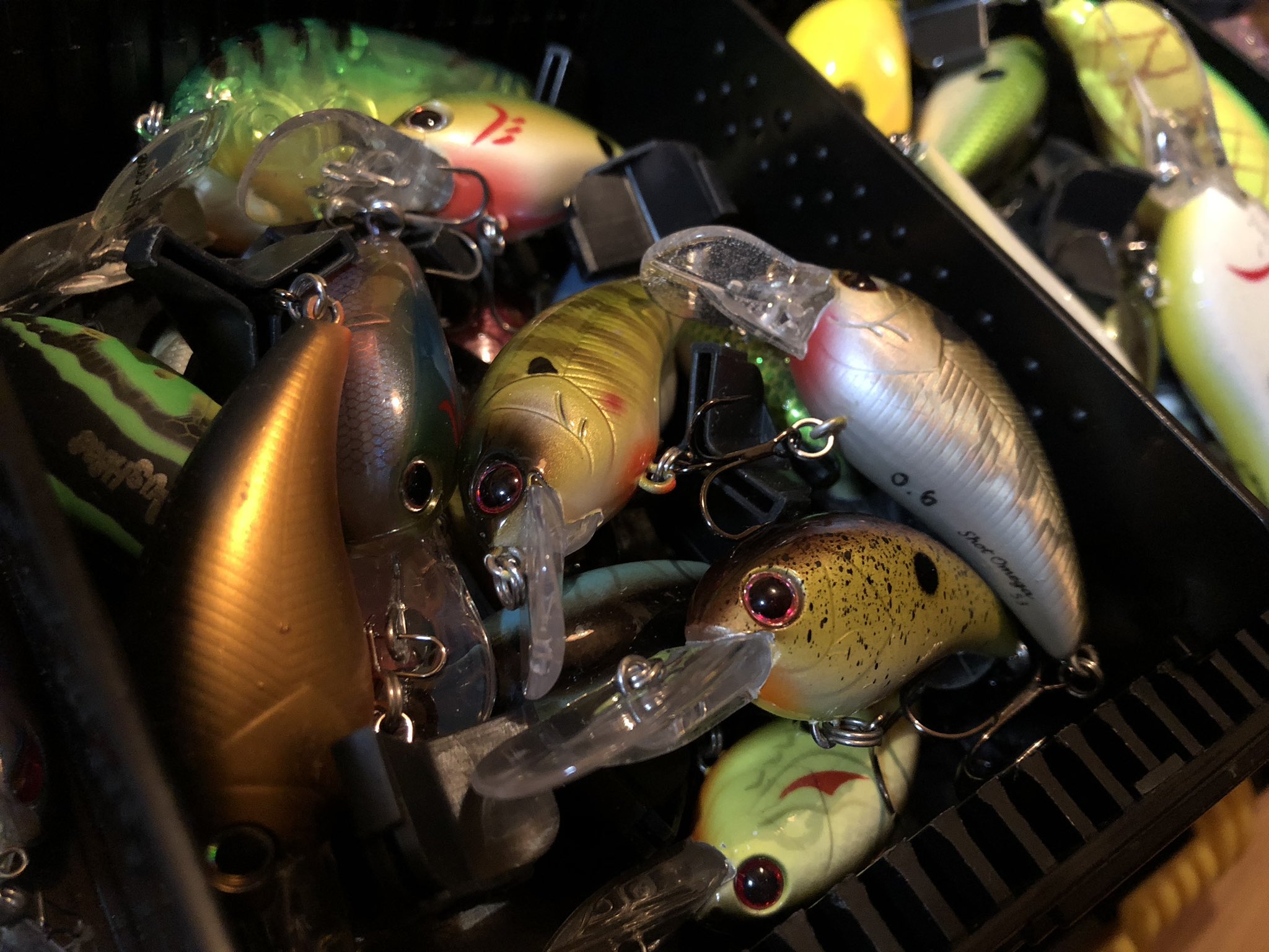 藍 My Tackle Box バス釣り 釣り ブラックバス タックルボックス 私のタックルボックス Mytackle Mytacklebox Blackbass Bassfishing Fishing Noris Jackall Raidjapan Gancraft Daiwa Osp Shimano 夢いっぱい