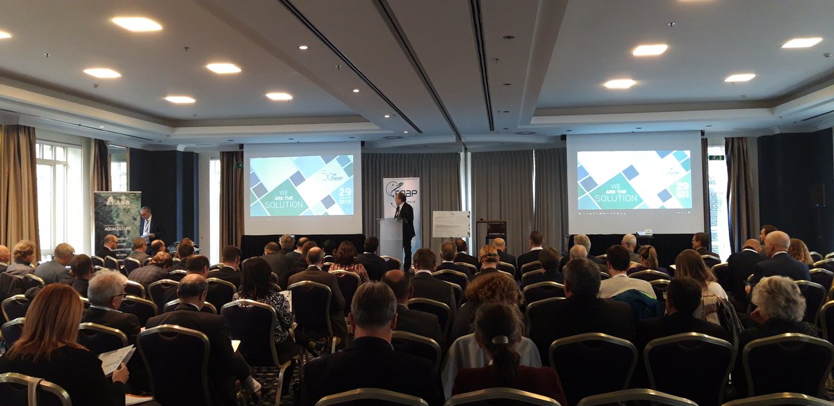 Here we go ! Introduction of our event by our President Marco Gilmozzi #FEAP50