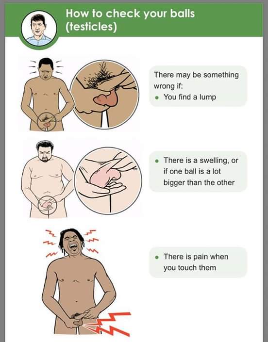 Gwapo_arrj's tweet photo. a quick guide on how to check them balls. RT you might save a life! 😎 https://t.co/EB7NGp58VY