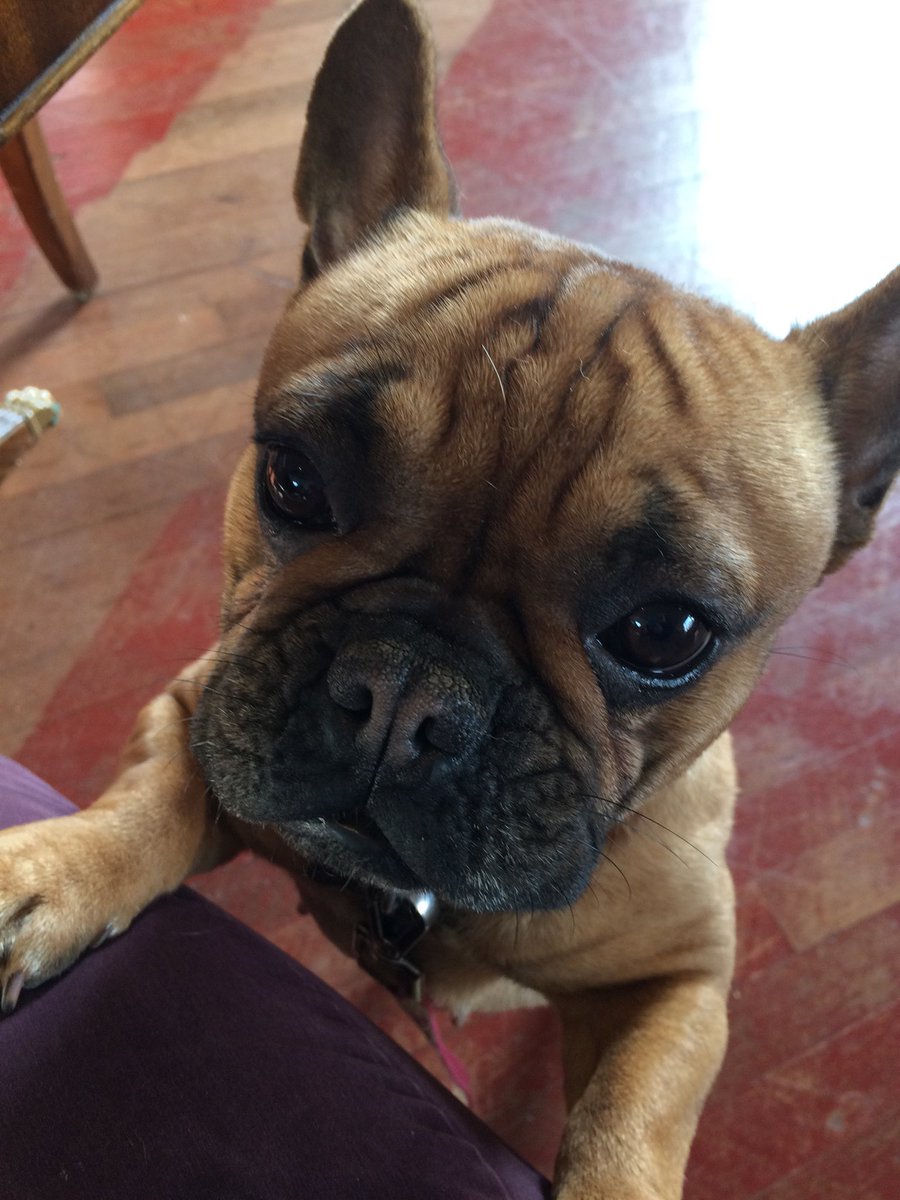 We are #thebooksmith ⁦<a href="/TheBooksmithUK/">The Booksmith UK</a>⁩ seeing their beautiful Christmas decorations. We love it here in Weedon X ⁦<a href="/TheDepotVC/">DepotVisitorCentre</a>⁩