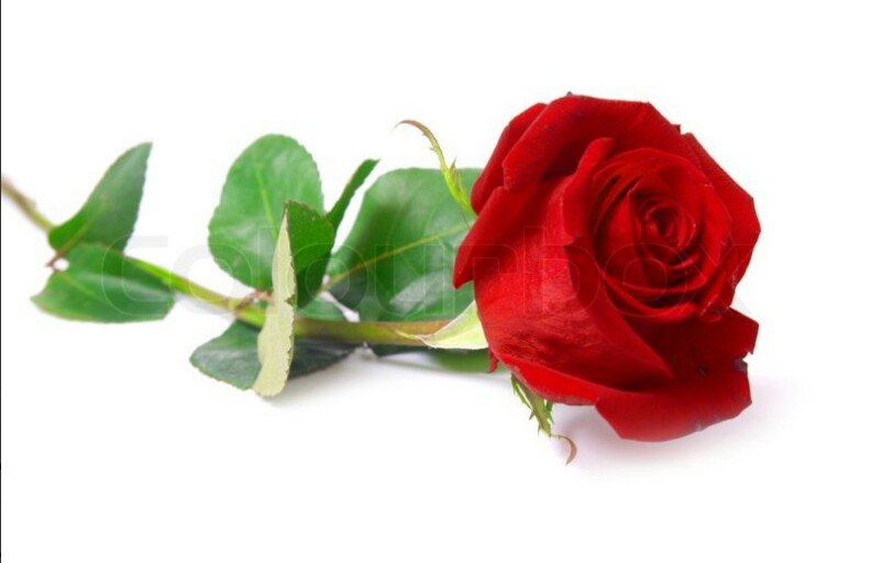 sisli_hakan's tweet photo. @deryacanalp https://t.co/OCjoTDvqo6