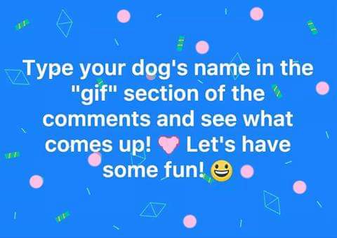 matchfur's tweet photo. Type your dog's name in the gif bar and share your results! https://t.co/hznu2LdDDB