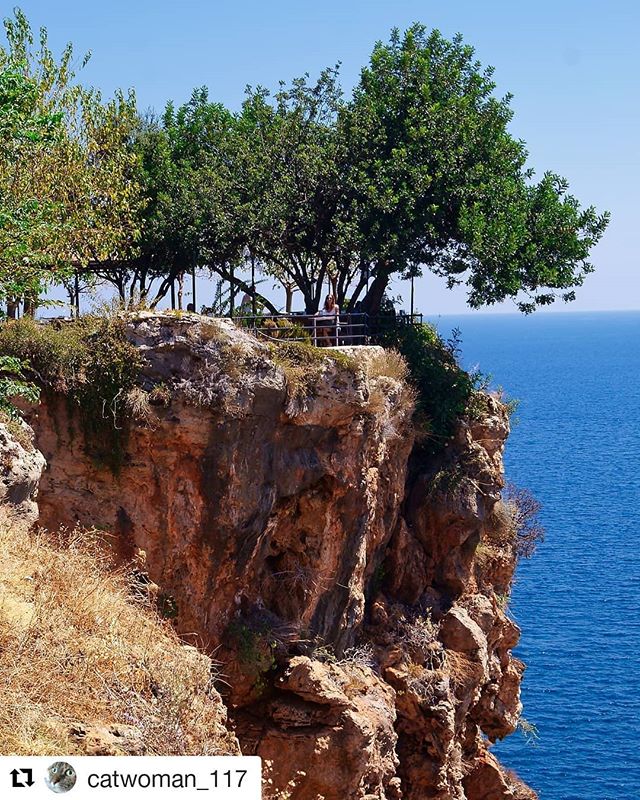 KeyfiAntalya's tweet photo. Fotoğraf için teşekkürler
catwoman_117 
#antalyaturkey #ig_antalyacity #antalyadayasam #markantalya #photoantalya #antalyada #antalyam #igersantalya #instaantalya #antalyaphotos #antalyablogger #fullantalya #nature_antalya #antalyagunlugu #antalyalara #ig_antalya #antalyadan #in https://t.co/evzkaaOOeQ