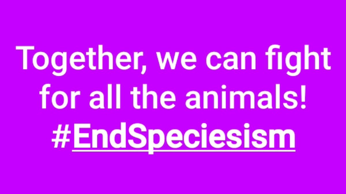 ChloeLeffakis's tweet photo. #EndSpeciesism #TakeActionForAnimals #JoinTheAnimalRightsMovement #TheRightSideOfHistory #TheFutureIsAnimalRights #AnimalRights #AnimalLiberation @DxEverywhere #DxE #EndAnimalAgriculture #TransformTheFoodSystem #EndAnimalTesting #JuliesLaw #RightToRescue #RightToKnow #Truth #Hope https://t.co/t9nfIh2KNw