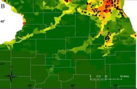 jayhawktiemann's tweet photo. The @INHSPACELab’s paper on modeling distribution of the Iowa Darter was just published. Led by @J_L_Sherwood, we examined historical &amp; current distribution of this “rare” bethic fish &amp; showed it’s more common than previous thought. #Undersampled

Paper: https://t.co/hWUNmrPpEk https://t.co/OtTqFyJKEn