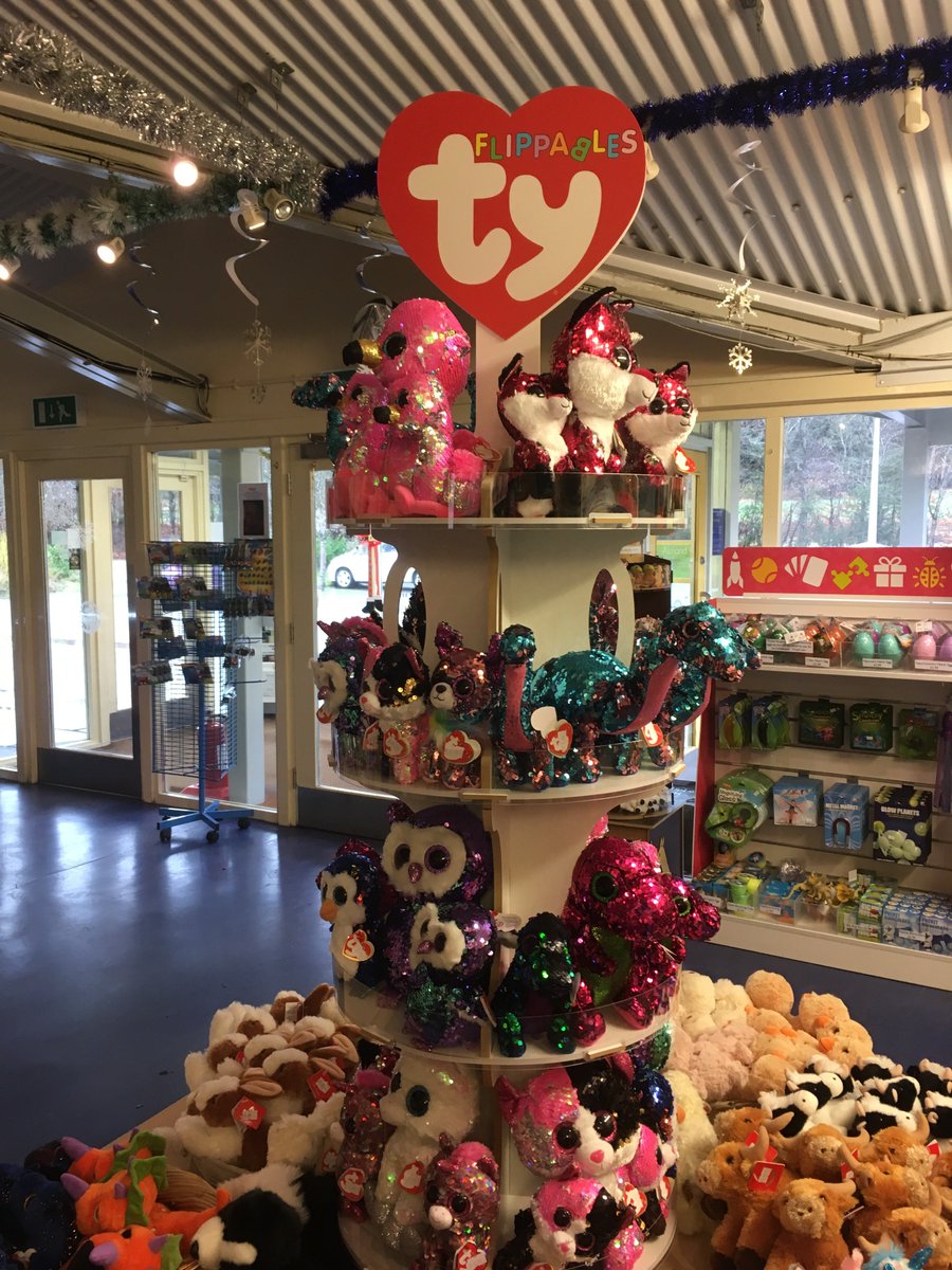 AlmondValleyHC's tweet photo. Ty Flippables are in stock! These are super popular and really lovely. They are quite hard to pre-order so come along to get yours. £16.99 for the large and £8.99 for the small.  #tyflippables #christmasshopping https://t.co/QxX7xfoN8K