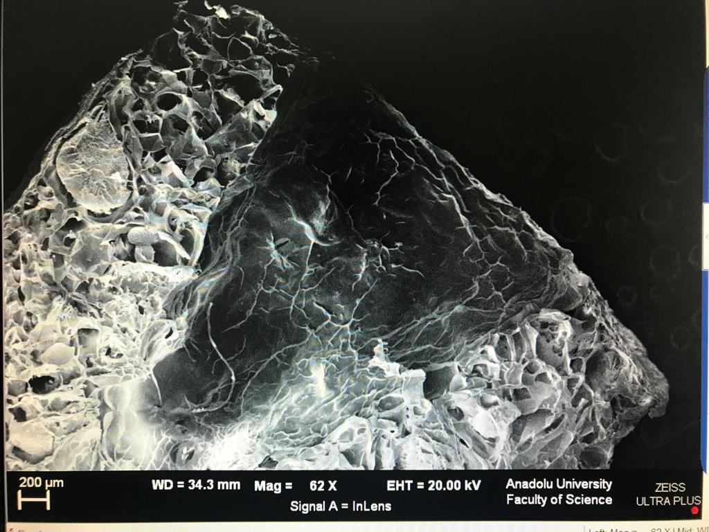 ysumbelli's tweet photo. If you're looking for a "SEM micrograph of a porous conduit for neural regeneration", which was 3D bioprinted by me by the way, then you're on right place! Isn't it just fabulous!?!
#3dprinting #bioprinting #nerve #Regeneration #tissueengineering #neuroscience #biomaterials https://t.co/07fnmRv41h