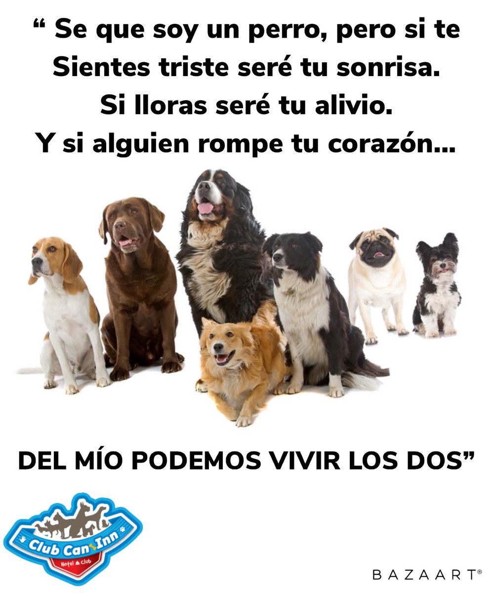 ClubCan's tweet photo. Solo dirás... GUAU!!! https://t.co/KE0Dr06MUU