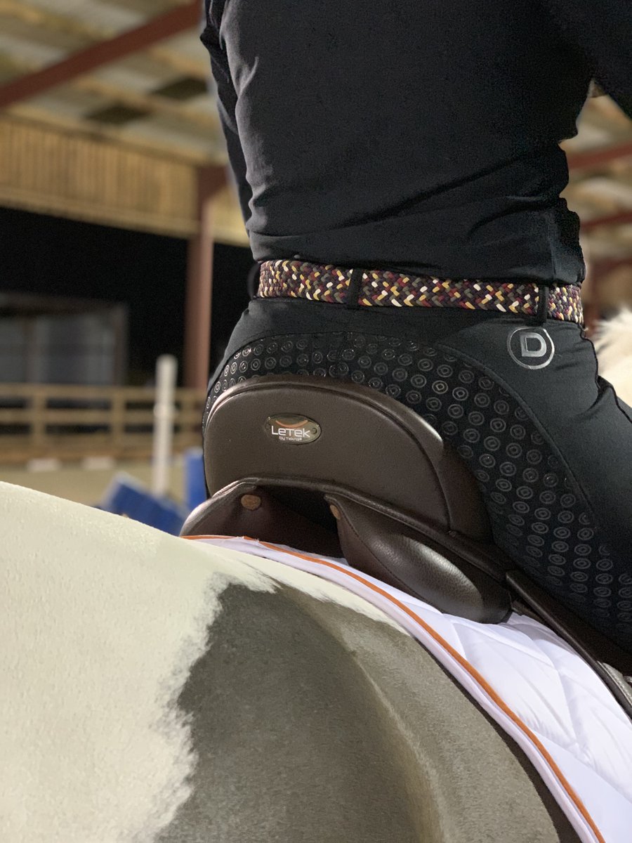 tekna_uk's tweet photo. Jess and Sidney having a flatwork lesson last night. Much improvement has been made, not only because now Jess is riding in the LeTek dressage saddle and not a jump saddle for flatwork! https://t.co/nBLMGMEMZu https://t.co/Fw3rLJ2U4v