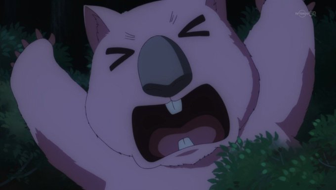 11月30日はウォンバットの誕生日のtwitterイラスト検索結果 古い順