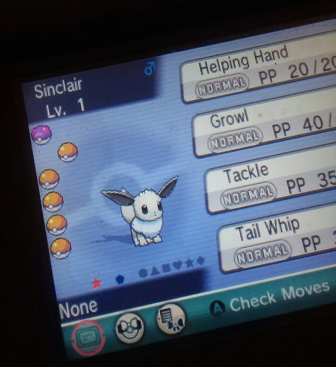 multityped's tweet image. 》》 I want to show everyone the baby I got on the first egg.. !!!