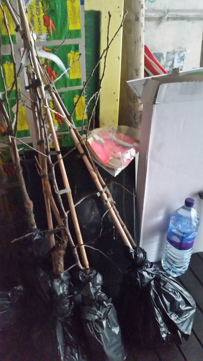 Thank you <a href="/TCVtweets/">The Conservation Volunteers (TCV)</a> @LND_gov #PlantATree all babies😊 arrived safe and sound <a href="/cfgn_growers/">CFGN</a> <a href="/TreeLogga/">TreeLogga</a> <a href="/LondonNPC/">London National Park City*</a> <a href="/GdnMediaGuild/">Garden Media Guild</a> plus 3 fruit trees and a third #Grenfell #Memorial tree from the Just Solutions 123... #volunteer gardeners 💚