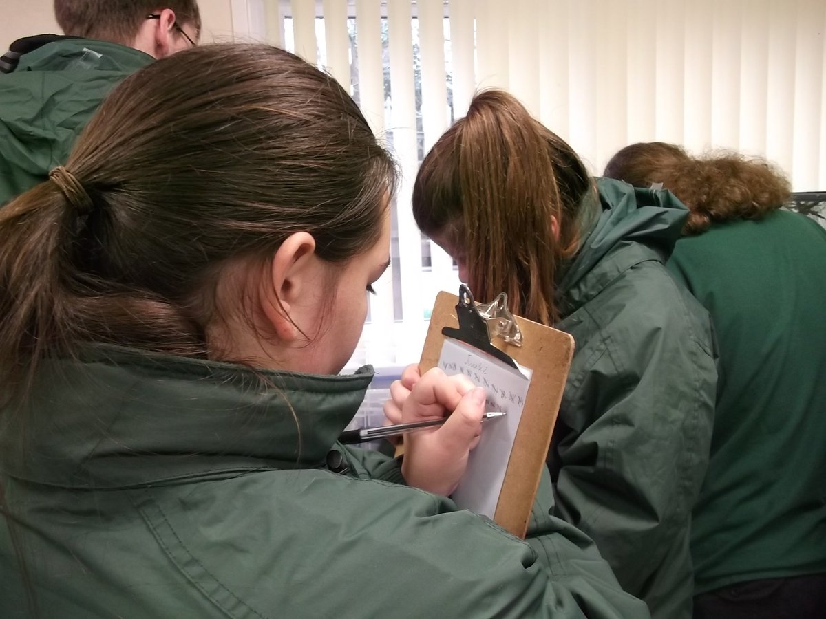 Hadlow_College's tweet photo. Level 3 students at our Canterbury campus today, preparing peppered cockroaches for transfer to our new invertebrate centre,which enables students to get hands-on with even more species! Come along to Saturday’s open day and talk to us about helping you get the career you want. https://t.co/S6RxnGmWEC