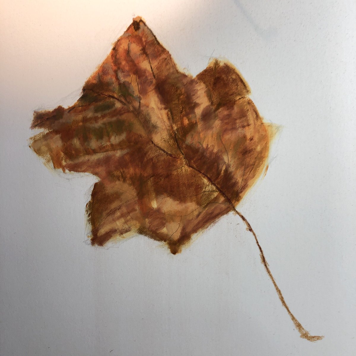 PauletteFarrell's tweet photo. Scrubbing in all the colours I can see & my palette for this study. These studies of life from nature are ideal for working on technique and skill #leaf #pastelstudy #nature #art https://t.co/kv2l0fTdJ3