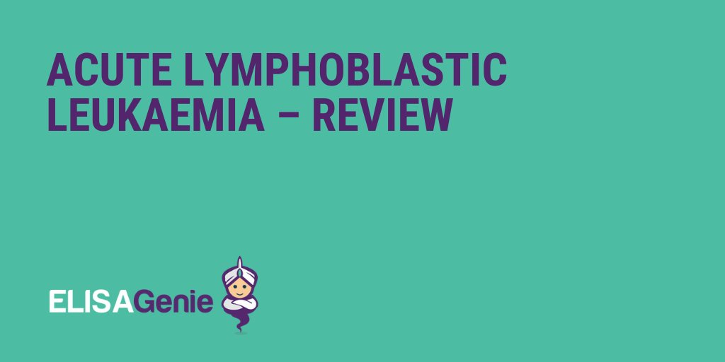 Acute lymphoblastic leukaemia (ALL) is one of the most common malignant diseases diagnosed in children. 

Read our full post on acute lymphoblastic leukaemia on ELISA Genie: 

elisagenie.com/blog/acute-lym… 

#Leukaemia #ALL #Cancer #CancerResearch