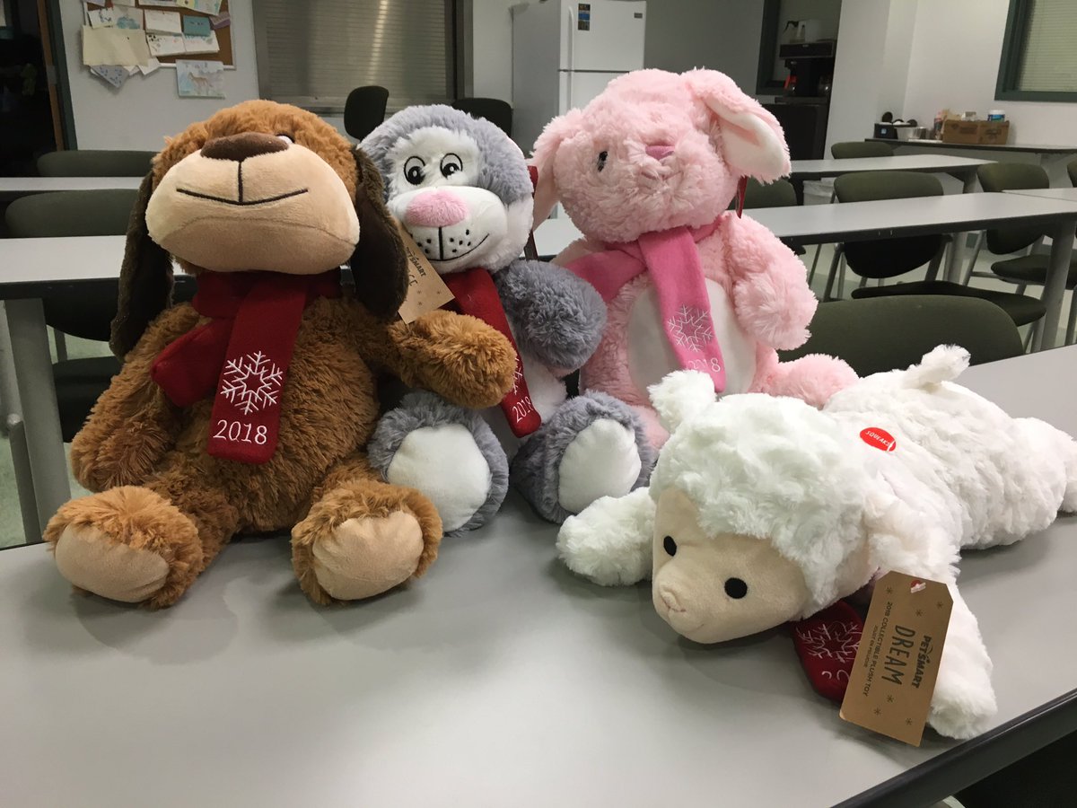 belly bands for male dogs petsmart